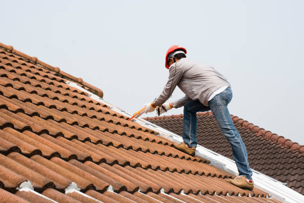 Best Roofing for New Construction  in Mayodan, NC